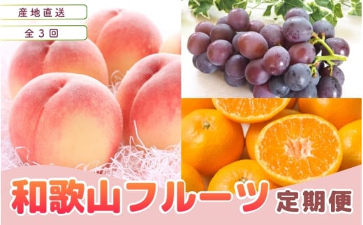 【定期便全3回】産直・和歌山フルーツ定期便（桃・ピオーネ・有田みかん）