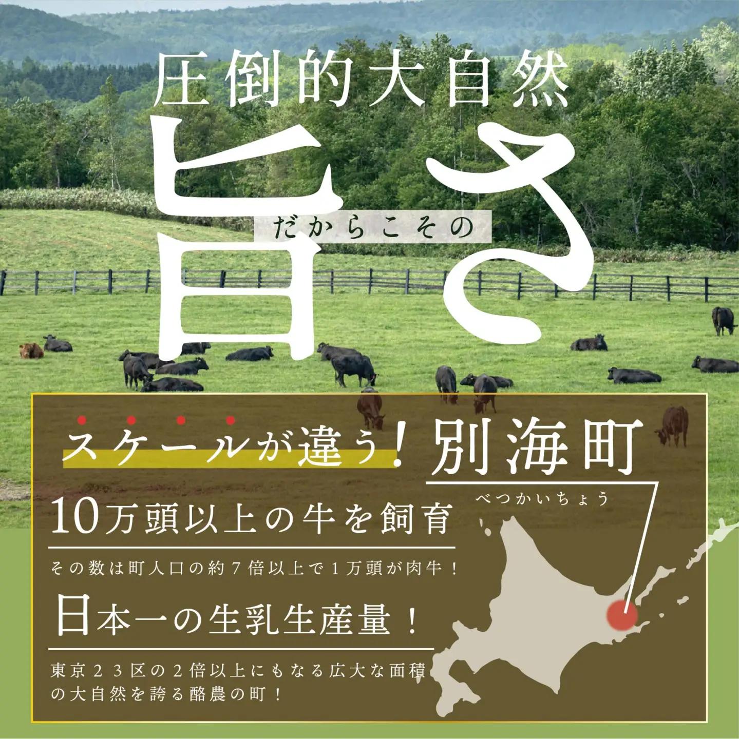 【定期便】黒毛和牛 サイコロステーキ用 計1.5㎏ 500g×3ヵ月【全3回】北海道 別海町 サイコロステーキ