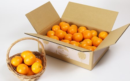 野菜ソムリエ石児さんの「特選 温州みかん 5kg」 ミカン みかん 蜜柑 柑橘 5kg 柑橘類 先行予約 甘い 温州みかん フルーツ ＜103-006＞