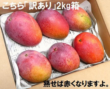 【予約受付】石垣島産 《訳あり・ご自宅用マンゴー》 約2kg エコ箱入り(3～6個入り) 2025年6月中旬～順次発送 SI-30-2