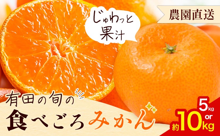 
                  「農園直送」有田の旬の食べごろ みかん 選べる内容量 約5kg 約10kg (サイズ混合・秀優混合) 厳選館《11月中旬-1月中頃出荷》 和歌山県 日高町 みかん 温州みかん 柑橘 フルーツ 有田みかん 有田 みかん 有田ミカン 有田蜜柑
                