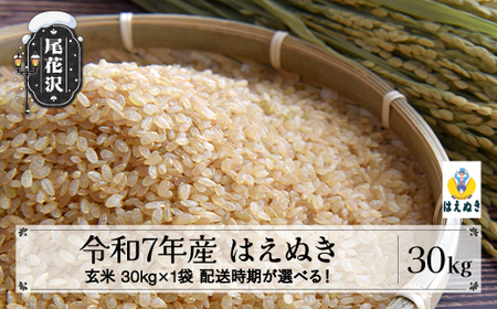 令和7年産 新米 玄米 はえぬき 30kg 30kg×1袋 配送時期選べる 1月上旬~3月下旬発送 2025年産 米 お米 国産 山形県 尾花沢市 ko-hagxa30
