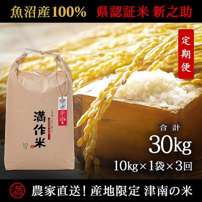 ふるさと納税 津南町 【毎月定期便】農家直送【特栽魚沼産新之助 精米 合計30kg】10kg(10kg×1袋 )全3回
