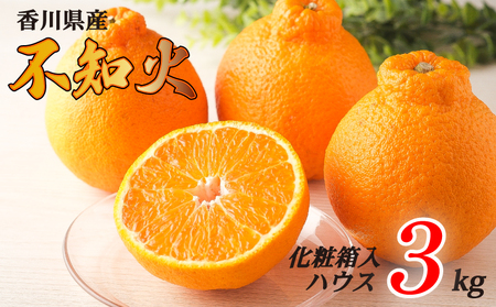 不知火 選べる 約3kg ハウス 化粧箱 常温 先行予約 フルーツ 果物 柑橘 しらぬい みかん ふるさと納税みかん 香川県 丸亀市 ｼﾗﾇｲ ｼﾗﾇｲ ｼﾗﾇｲ 【goshiki036】