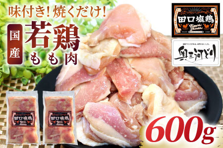 奥三河どり使用！ 田口塩鶏 味付け もも肉 600g 塩ダレ 味付け肉 鶏肉 鶏 肉 キャンプ バーベキュー 味付け肉 大容量 手軽 焼くだけ 地鶏 焼肉 焼き鳥 -173