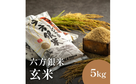 令和7年産 減農薬米 特別栽培米 六方銀米 コシヒカリ 玄米 5kg / 減農薬 玄米  お米 5キロ 米 コウノトリ米 コメ こめ ご飯 ライス こしひかり 兵庫県産
