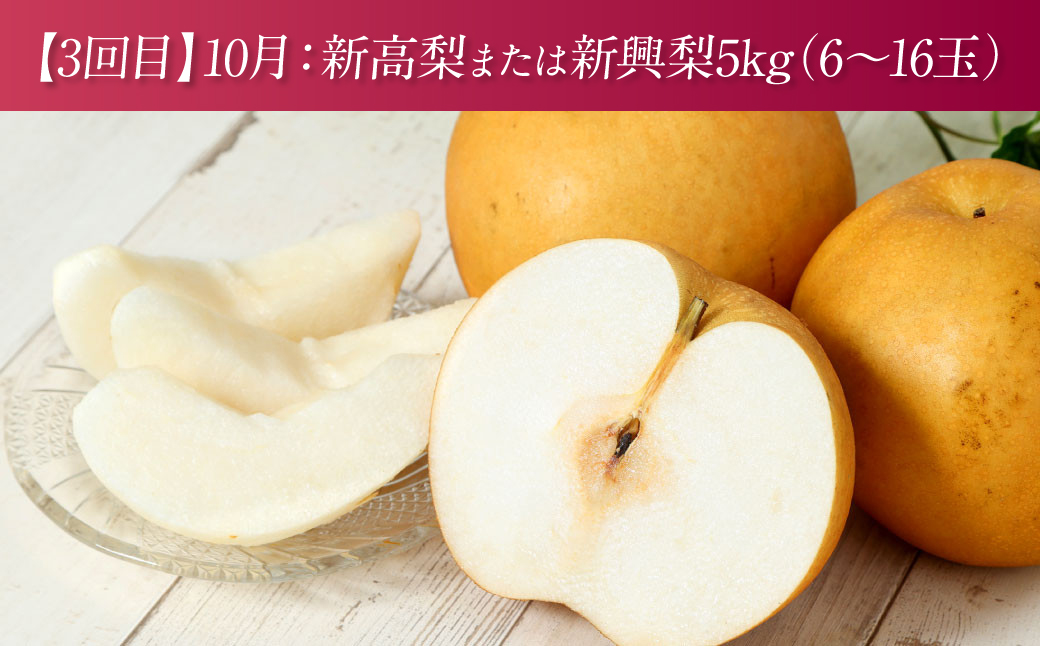 【先行予約】 【定期便3回】 熊本県産 3種の梨の定期便 約5kg ×3回 (計15kg) 【2025年8月下旬より順次発送】