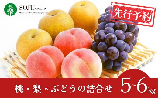 先行予約 季節の桃・梨・ぶどうの詰合せ 合計5~6kg 令和8年度 桃 梨 和梨 ぶどう 贈答用 新潟県 三条市産 果物 [三条果樹専門家集団]【035P010】