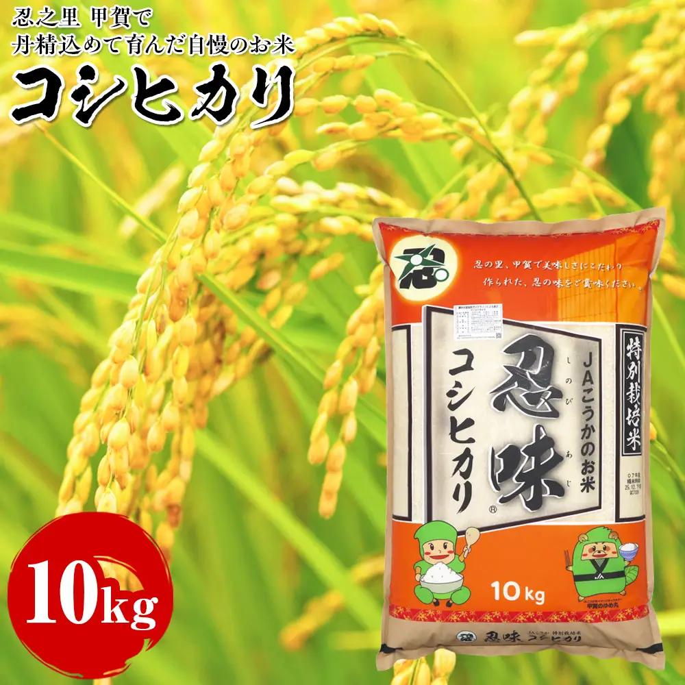 コシヒカリ 10kg 甲賀で丹精込めて育んだ自慢のお米