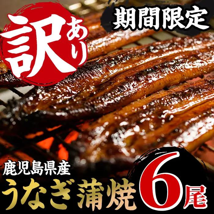 【うなぎ】訳あり 蒲焼  6尾 鹿児島県産 うなぎ【00-025-09-60】