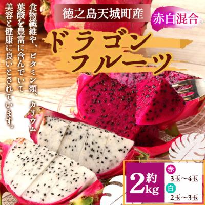 ふるさと納税 天城町 【2025年発送分】ご家庭用 徳之島 天城町産ドラゴンフルーツ 赤白混合 約2kg
