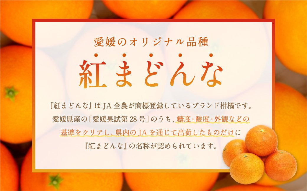 愛媛の旬の柑橘 紅まどんな（専用箱）約2.5㎏ 果物 くだもの フルーツ 柑橘 かんきつ 【12月頃発送】（14）