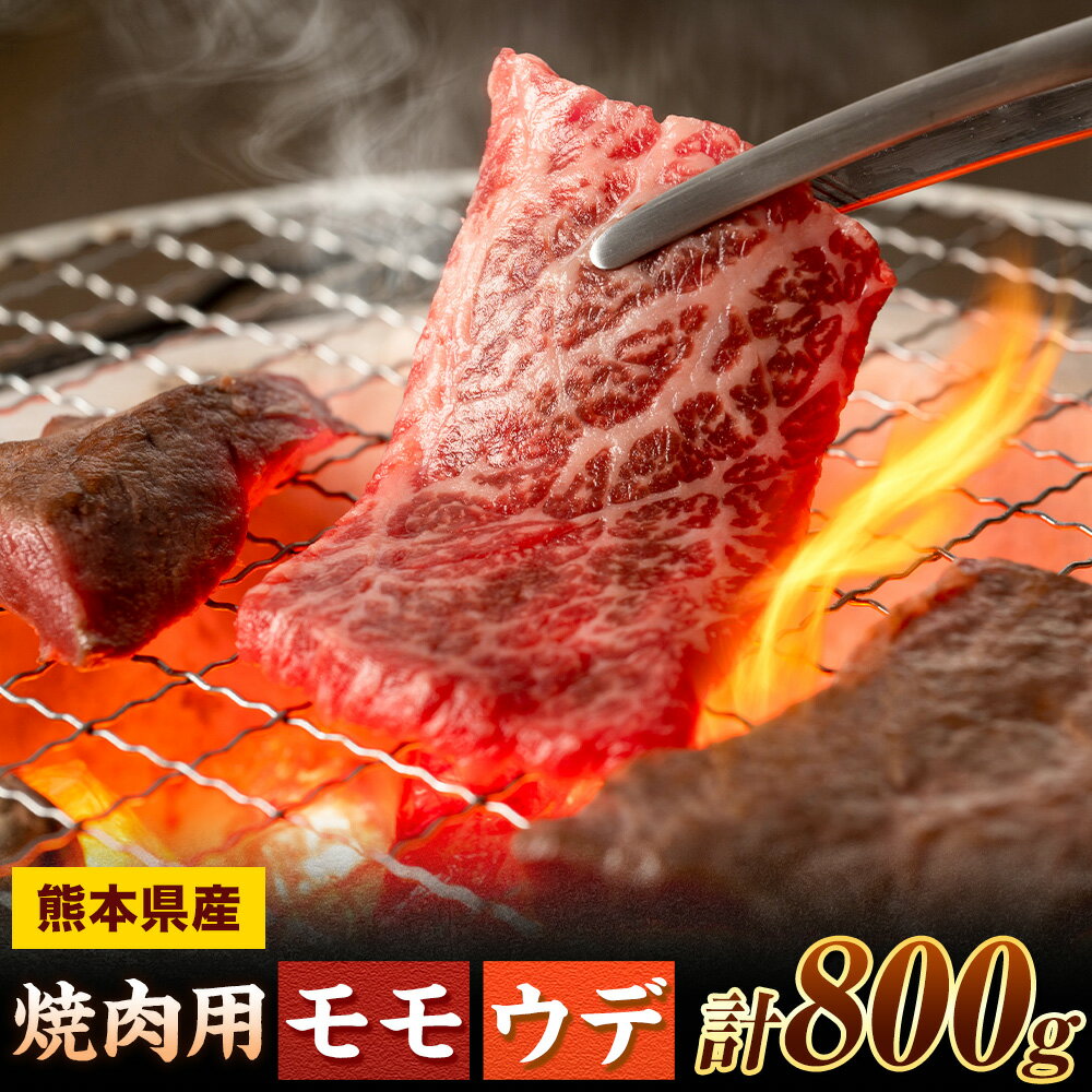 【ふるさと納税】焼肉用 モモ・ウデ 合計800g 黒毛和牛 カット済み 有限会社中田精肉店舗 《45日以内に出荷予定(土日祝除く)》 熊本県 菊池市 お肉 和牛 焼き肉 キャンプ バーベキュー 熊本県産 九州産 国産