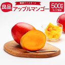 【ふるさと納税】環境マイスターのアップルマンゴー 良品 合計約500g 1～2玉 サイズ混合 栽培期間中 無農薬 マンゴー 果物 フルーツ 南国フルーツ 国産 九州産 熊本県産 冷蔵 送料無料【2025年6月下旬‐7月下旬迄順次発送予定】