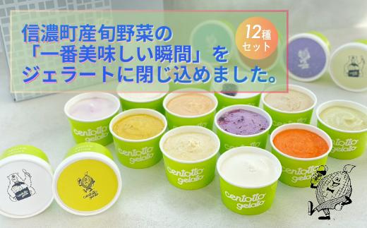 
                  信濃町の旬野菜でつくるジェラート12個セット（レギュラー6種 + 季節のフレーバー6種）｜信濃町の人気店 野菜ジェラートチェントット【長野県 信州 信濃町ふるさと納税】
                