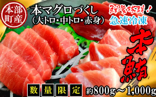 
【数量限定】　本部町産　本マグロづくし（大トロ・中トロ・赤身）約800g～1000g
