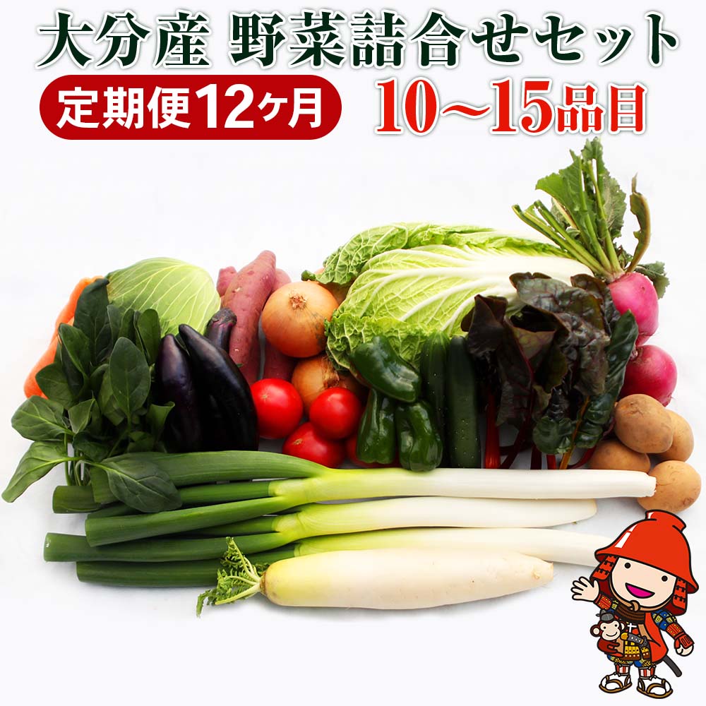 【ふるさと納税】【12ヶ月定期便】九州野菜セット 大分県産 春夏秋冬野菜セット10〜15品×12回 毎月1回 | JA直売所直送野菜 新鮮 産地直送 送料無料