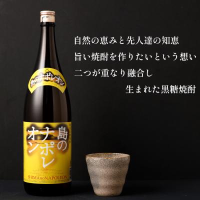 ふるさと納税 天城町 【鹿児島県天城町】黒糖焼酎 島のナポレオン 1800ml×6本セット 合計10.8L 瓶 酒 焼酎 |  | 02