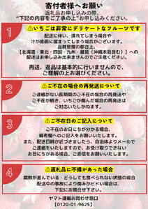 【令和6年4月から5月に発送予定】イチゴ　加工用イチゴ　バラ詰め　1.7kg（6.5パック相当）　紅ほっぺ、よつぼし、恋みのり　から厳選