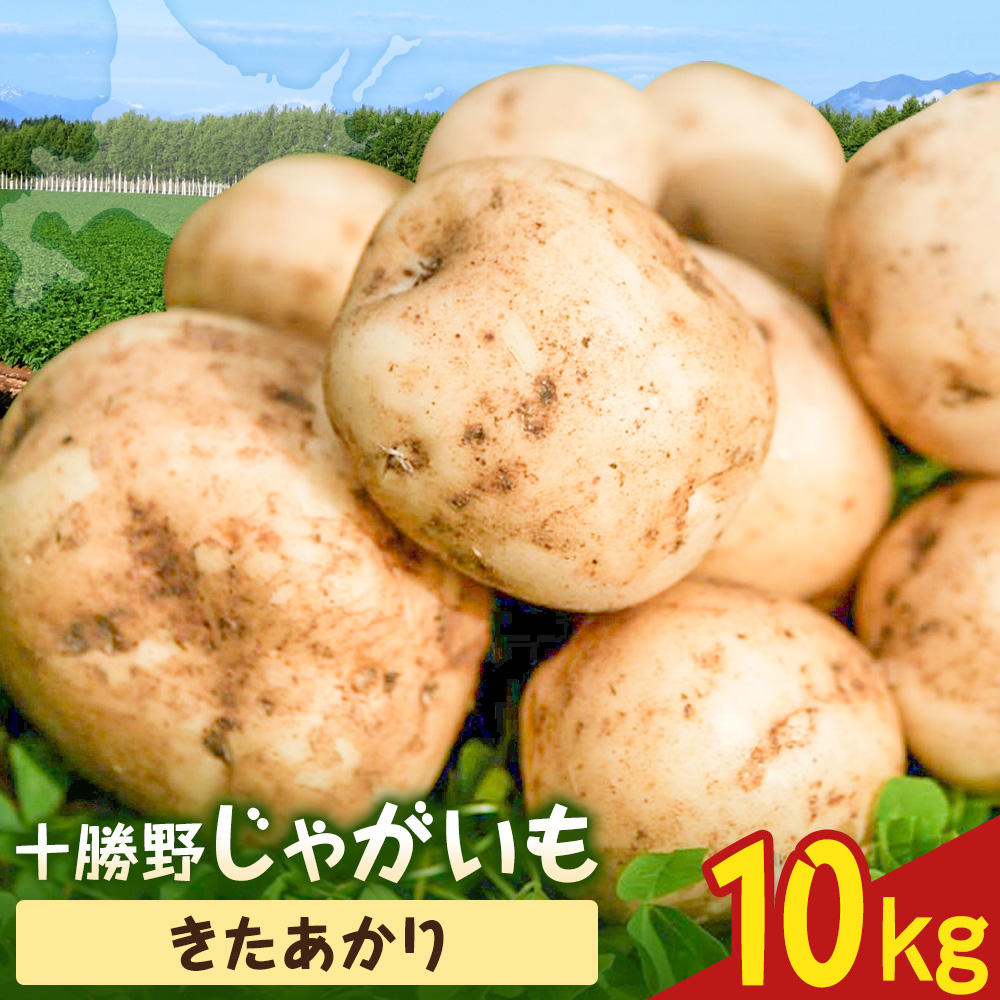 【2026年秋出荷】先行予約 十勝野じゃがいも きたあかり 10kg 按田農場《2026年10月中旬-11月末出荷》北海道 豊頃町 十勝野 じゃがいも 農家直送 数量限定---toyokoro_adn_4_10kg---