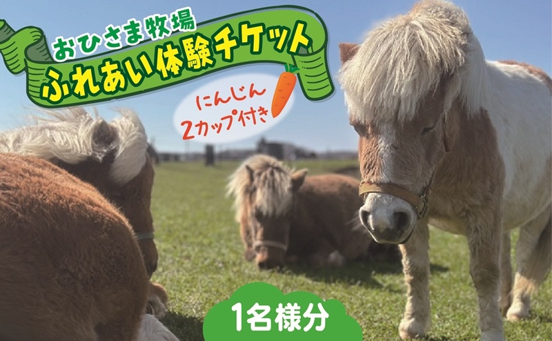 
            おひさま牧場ふれあい体験チケット（人参２カップ付き）
          