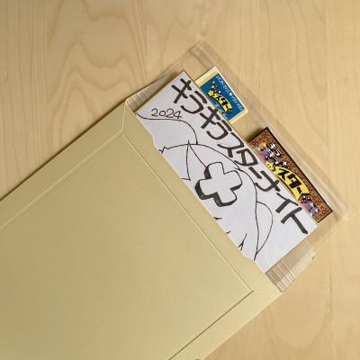 ふるさと納税 ふじみ野市 キラキラスターナイト 返礼品ゲームCD+シール(海外版)+色紙(絵柄B) |  | 02