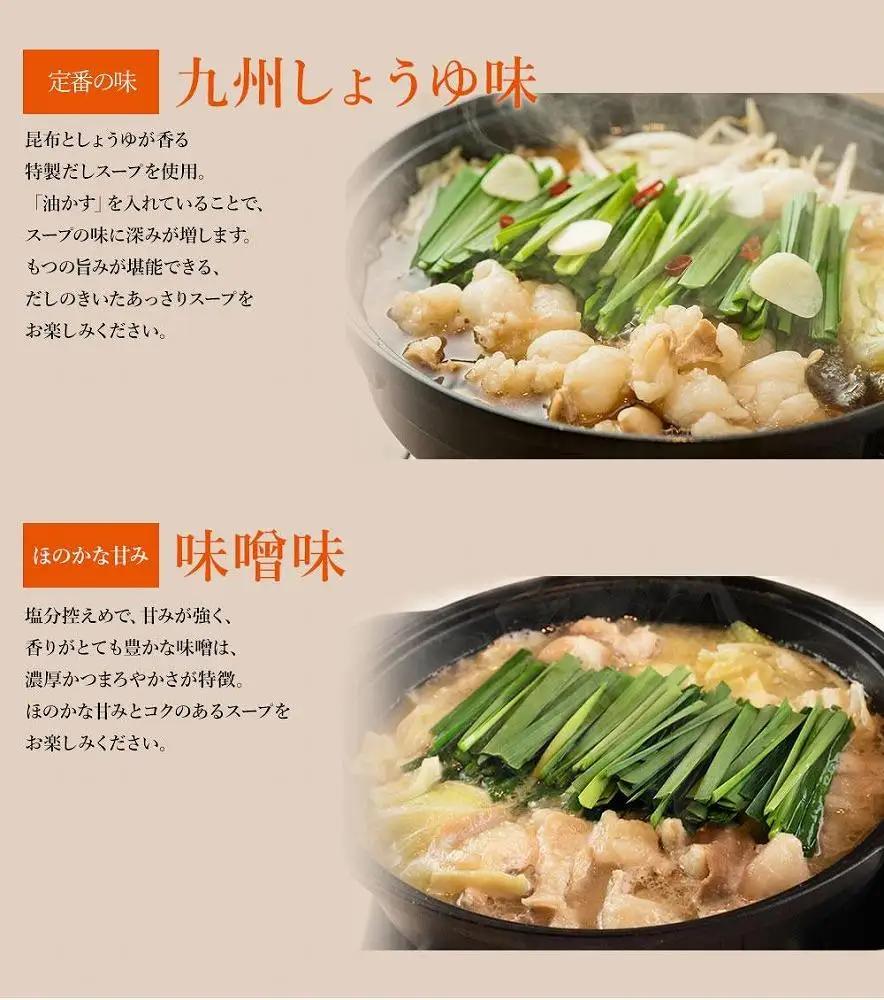 九州名物とめ手羽 博多もつ鍋セット 九州しょうゆ味 2～3人前