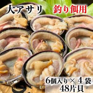 岬だより 天然大あさり釣り餌用 6個入り×4袋セット