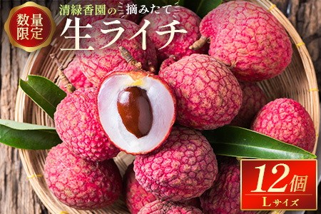 ＜数量限定＞清緑香園の摘みたて「生ライチ」Lサイズ 12個 国産 宮崎県産 先行予約 ※2026年6月中旬～【C235-26】