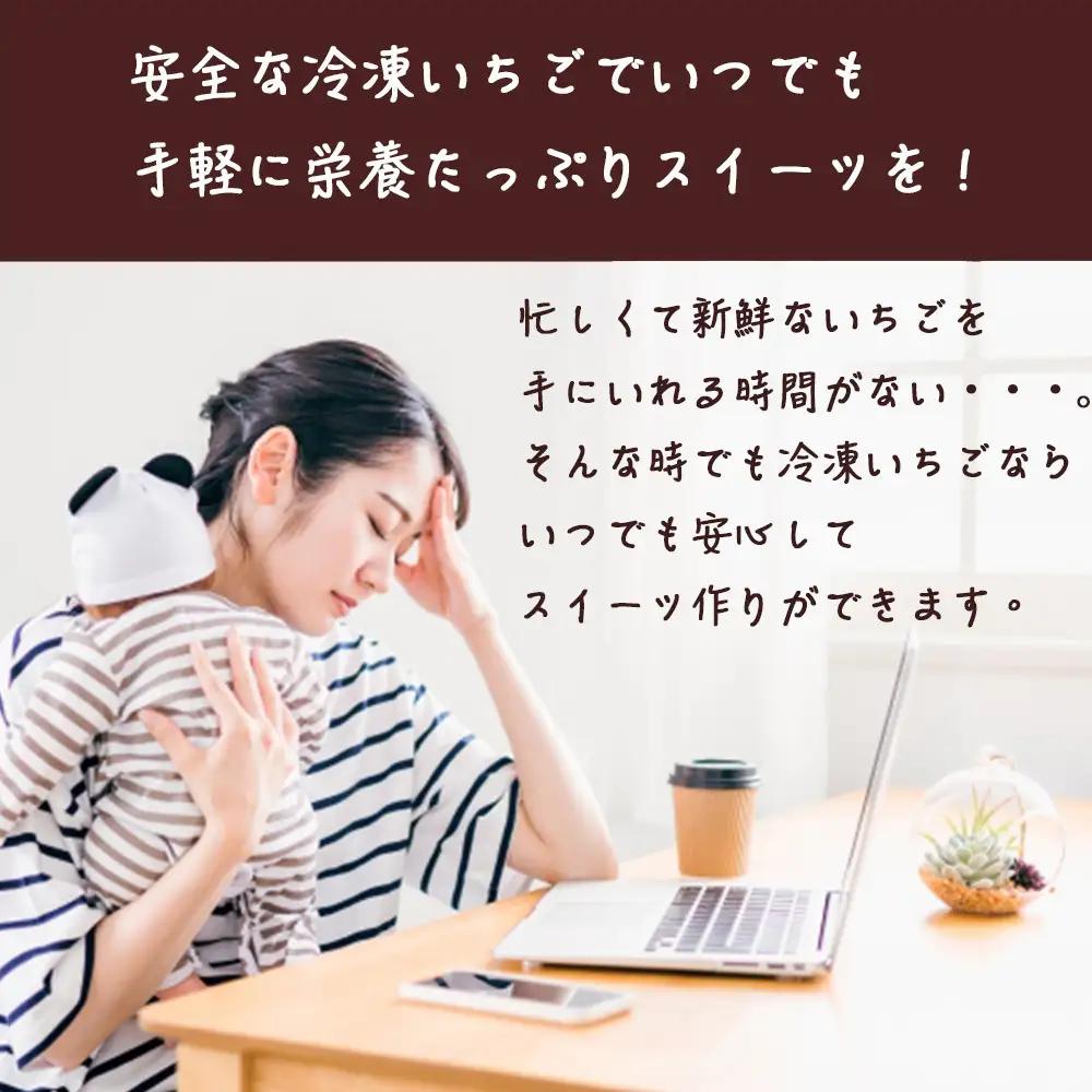 【3ヶ月定期便】越後姫 冷凍いちご 1kg×2袋 いちご フルーツ