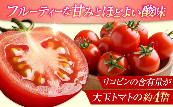 野菜 やさい トマト とまと フルーツ フルーツトマト ミニトマト プチトマト