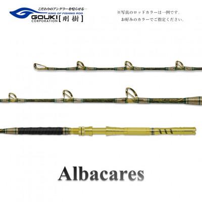 ふるさと納税 茅ヶ崎市 剛樹 釣り竿　アルバカーレス (ALB T2 170) 170cm ウェイト負荷100-300号