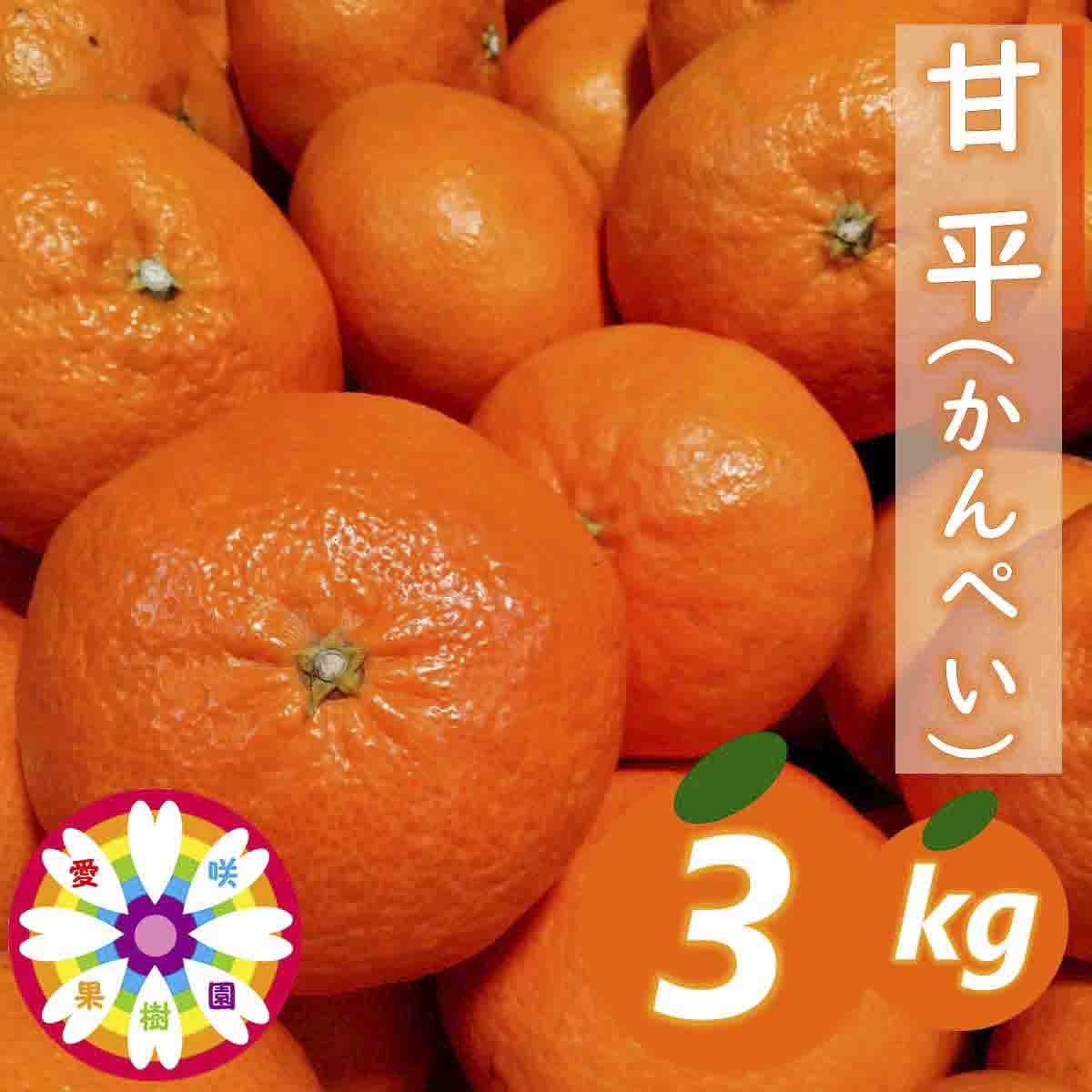 
                  【先行受付】愛咲果樹園 「 甘平 」約3kg【D71-28】【1616841】 YWTS024
                