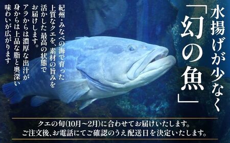 クエ鍋 4人前（アラ600g・身600g）※冷蔵【smr007】