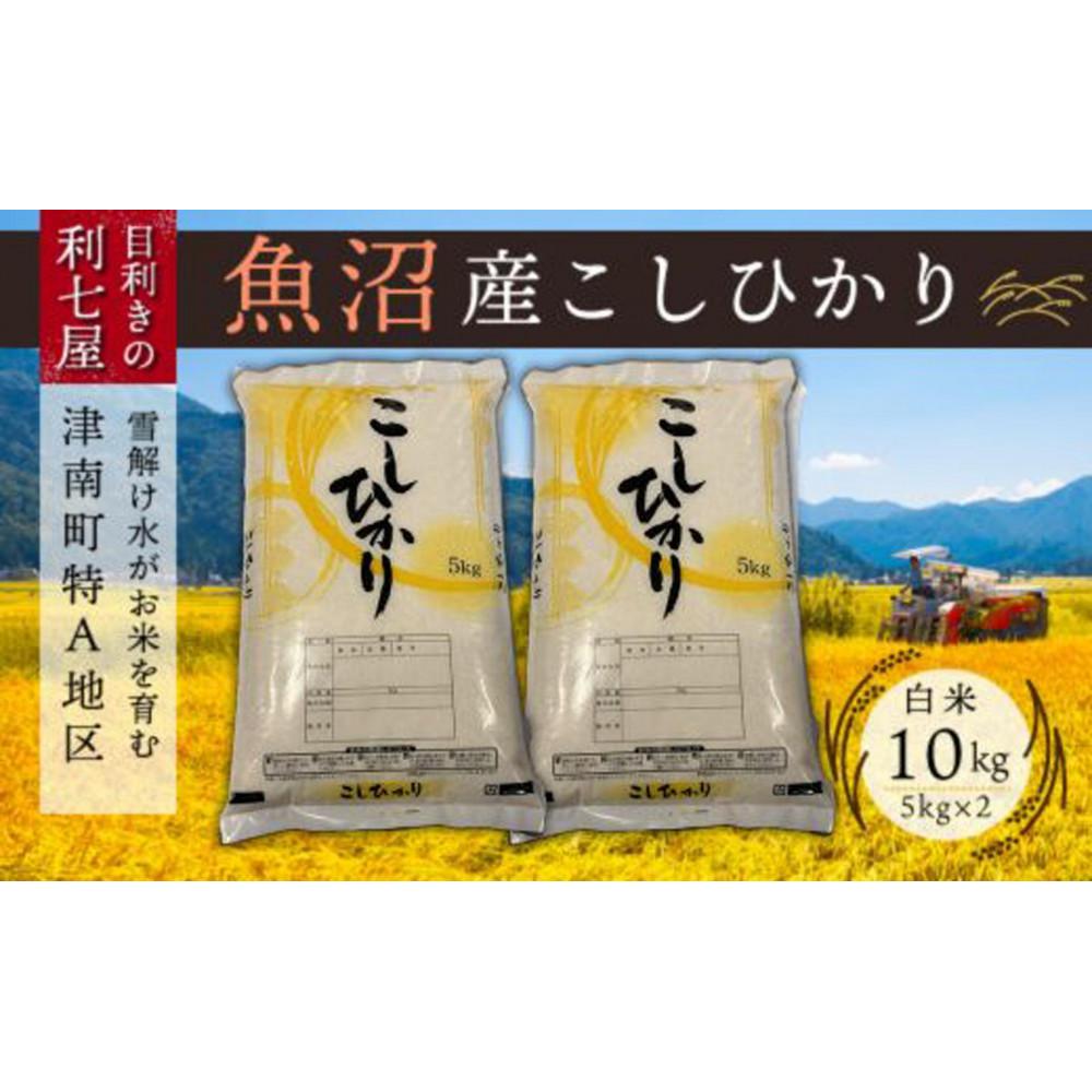 【ふるさと納税】【令和8年産先行予約】【 定期便 6ヶ月 】 米 10kg ( 5kg × 2袋 ) × 6回 魚沼産 コシヒカリ 津南町特A地区産 | 白米 精米 お米 おこめ こめ コメ 新潟県 津南町