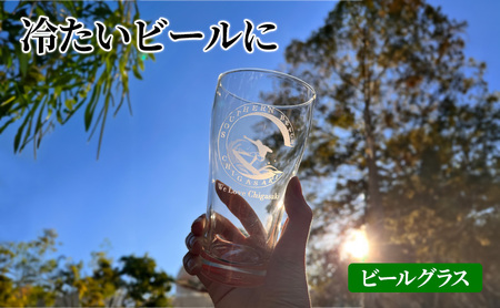 サザンＣグラスセット  タンブラー ビールグラス シャンパングラス 選べる2個セット C(ｻｰﾌｨﾝ×ｻｰﾌｨﾝ)
