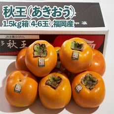 秋王(あきおう)　柿　約1.5kg箱(4-6玉)(朝倉市)