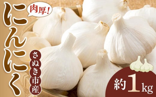 【先行予約】さぬき市産 にんにく 約1kg【5月中旬から順次発送予定】