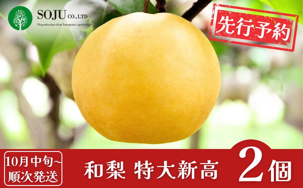 
            先行予約 特大 新高梨 2個 [10月中旬から発送予定] 令和7年度 和梨 贈答用 新潟県産 梨  [三条果樹専門家集団]  【016P028】
          