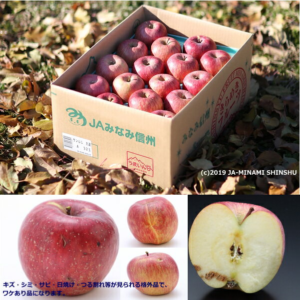 【ふるさと納税】＜先行予約＞りんご サンふじ＜訳あり品＞ 約10kg[20〜40玉]※2025年11月下旬〜12月中旬発送※