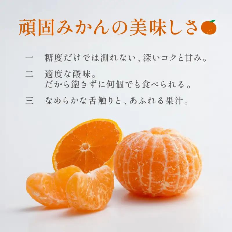 【1337_M】和歌山県天田の頑固みかん　5kg （優～良混合）サイズ指定可能（S・M・L）Mサイズ