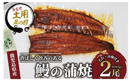 【丑の日に合わせてお届け！】鹿児島県産鰻の蒲焼(無頭背開き)約165g×2尾(山中水産/016-1065u)【2025年7月9日～7月19日お届け】うなぎ 国産 鹿児島 蒲焼 丑の日 丑 土用丑の日