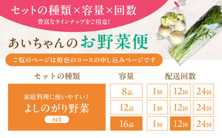【16品 / 12回定期便】「よしのがり野菜」セット（ラージ）吉野ヶ里町/吉野ヶ里あいちゃん農園 減農薬 有機肥料 1年間 [FAA010]