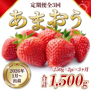 定期便 3ヶ月 福岡県産 あまおう 合計1500g 先行予約 2026年1月より順次発送 いちご イチゴ 苺 果物 3回 ※配送不可:離島