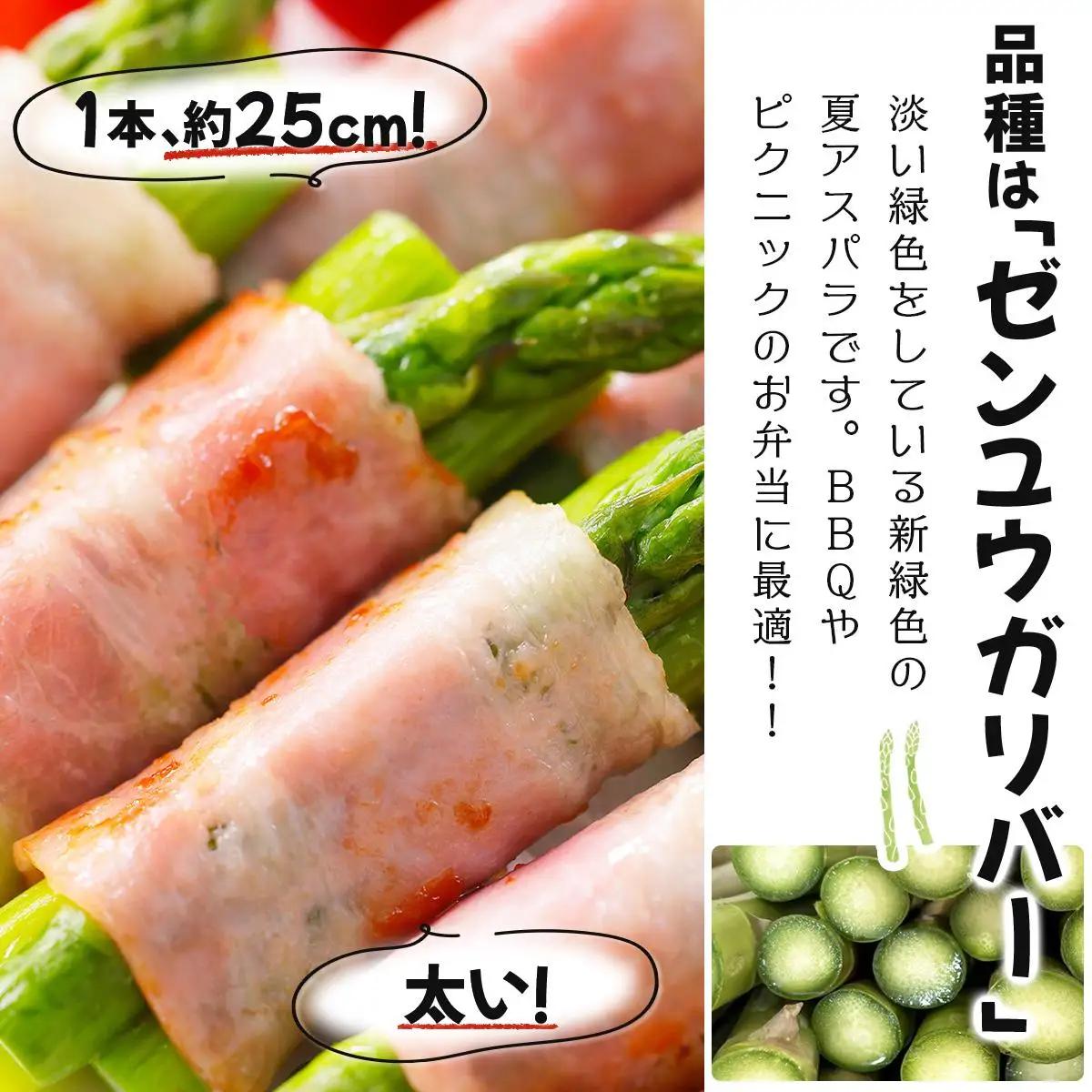 【令和8年産】北海道岩見沢産 夏グリーンアスパラ L～2Lサイズ 1kg【41104】