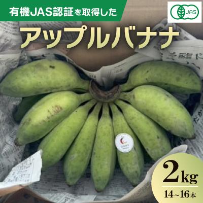 ふるさと納税 宜野座村 【2025年8月から順次発送】有機JAS認証を取得した アップルバナナ 2kg(14〜16本)