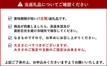 【先行予約】 熊本県 宇城市産 不知火 訳あり 約8kg 【2025年2月下旬から4月上旬発送予定】しらぬい 柑橘 フルーツ 果物 果実 みかん 蜜柑 ミカン