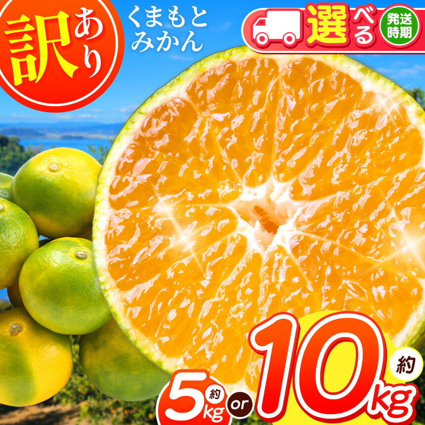 【ふるさと納税】 選べる 内容量 訳あり 2L以上 くまもと みかん 約 5kg / 10kg | 果物 くだもの フルーツ 柑橘 柑橘類 みかん 温州 家庭用 5キロ 10キロ 大量 みかん 玉名 熊本 送料無料 自宅用