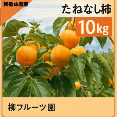 ふるさと納税 橋本市 柳フルーツ園 たねなし柿 約10kg　【2025年秋冬配送】