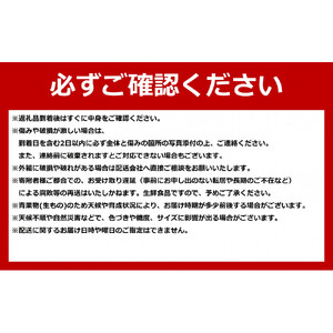 【先行予約】北海道赤肉メロン　2kg　1玉入り（2026年7月中旬から発送開始）| メロン _04753